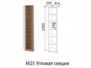 М25 Угловая секция в Карпинске - karpinsk.magazin-mebel74.ru | фото