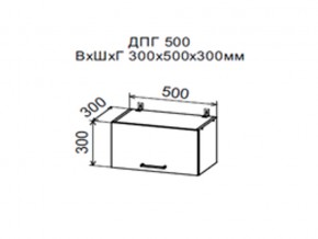 Шкаф верхний ДПГ500 горизонтальный в Карпинске - karpinsk.magazin-mebel74.ru | фото
