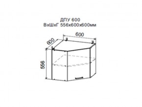 Шкаф верхний ДПУ600 угловой в Карпинске - karpinsk.magazin-mebel74.ru | фото